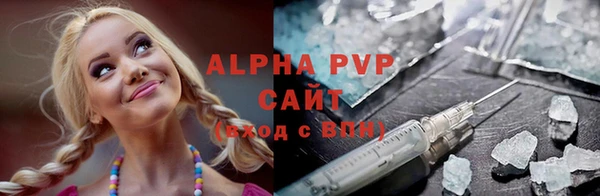 ПСИЛОЦИБИНОВЫЕ ГРИБЫ Сосновый Бор