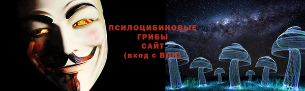 дурь Алексеевка