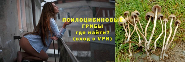 дурь Алексеевка