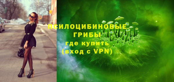 дурь Алексеевка