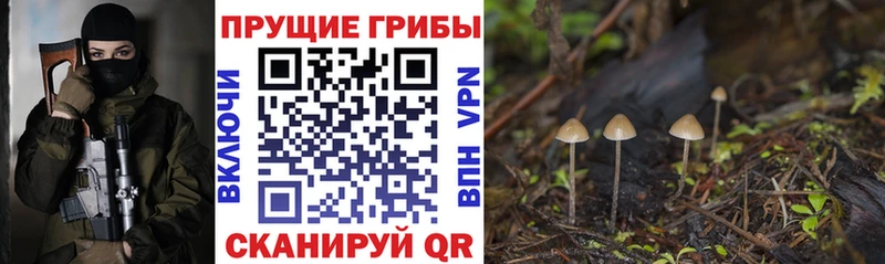 Галлюциногенные грибы прущие грибы  кракен ONION  Буй 